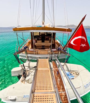 Cosh turkey blue cruise